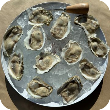 Oysters Shucked On The Half Shell (dozen)